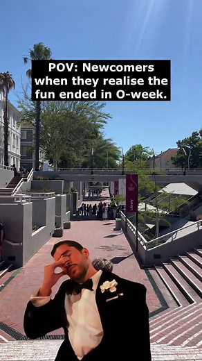 Exploring Stellenbosch University Life