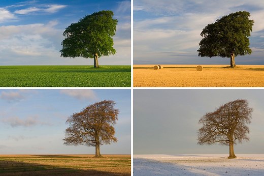 Why Vivaldi's Four Seasons are still so popular today | Classical Music