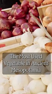 The Most Used Vegetable in Ancient Mesopotamia | Table of Gods