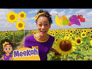 NEW! Southern Hill Farms | Educational Videos for Kids | Blippi and Meekah Kids TV