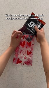 Happy Valentine's Day! ❤️ Check out this awesome Valentine's initiative from our incredible partner, @pipersrescueadventures and read their words below. "Dogs don’t need fancy gifts like diamonds, jewelry, or flowers. All they need is some belly rubs, attention, and definitely Go! Solutions. Celebrating love by going straight for their one true love, food, I made these candygram bags for some of our local rescue dogs at @heartmountainrescue ❤️ The best part about @gosolutions.petfood is they mak