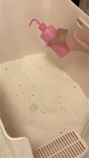 Revamp Your Cat's Litter Box - A Beginner's Guide