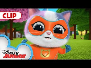 The SuperKitties Stop Mr. Puppypaws! | SuperKitties | ‪@disneyjr‬​