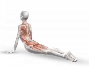 Heal Your Lower Back Pain With These 5 Yoga Poses - Breaking Muscle