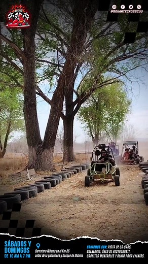 Cuentas recomendadas