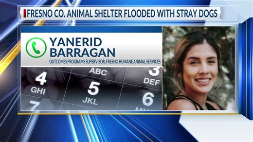 Flooding causes influx of dogs at Fresno County’s animal shelter