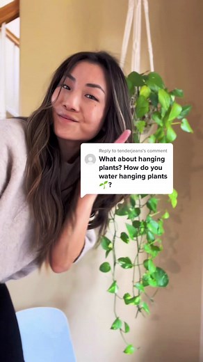 Watering Hanging Plants Guide: Top Tips for Indoor Plant Care
