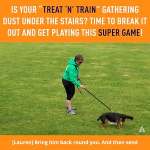 6.4K views · 51 reactions | Do you have a Treat & Train, Manners Minder, or similar remote-controlled reward system? They can be a great addition to your games and can help teach and build many concepts, including: Forward focus Disengagement Independence If yours is gathering dust, or you’re not quite sure how to incorporate it into your games sessions, watch this video and be inspired! | absoluteDOGS | Facebook