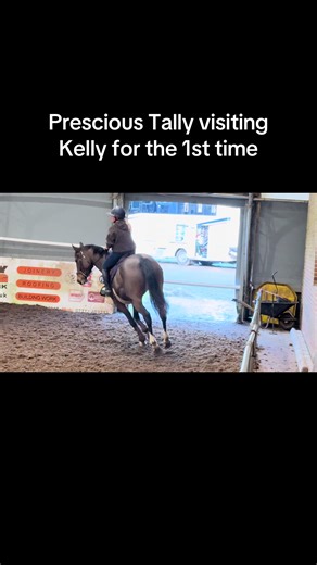 Precious Tally's First Visit to Kelly's Stable
