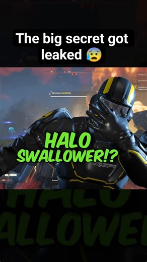 the big secret 😭 #helldivers2 #halo