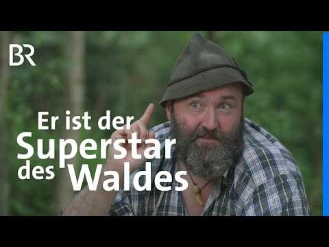 Woid Woife: Superstar des Waldes | Capriccio | BR
