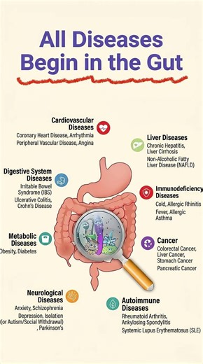 "All Disease Begins in the Gut" — The Shocking Truth You Need to Know 🔥