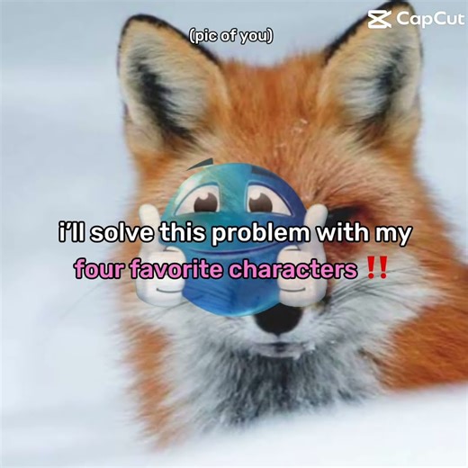 Four favorite characters ￼