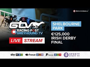 2023 Irish Derby Final | Live Greyhound Racing