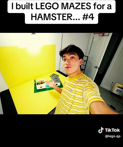 I built LEGO MAZES for a HAMSTER... #lego #legomoc #legomaze #hamster #hamstermaze #hamsterlego