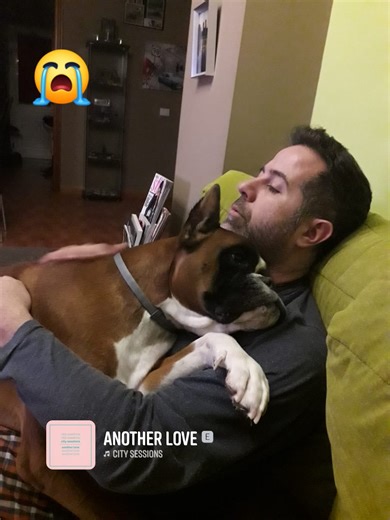 Roman Dorta on Reels