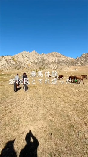 モンゴル旅行🇲🇳 Day3｜大草原で乗馬！遊牧民のゲルへ🐎