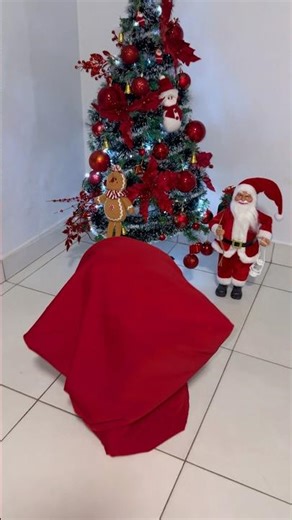 Santa Claus forgot the bag of presents 🎁