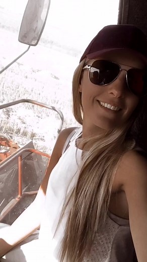 Combining Wheat: Red Harvester in Action