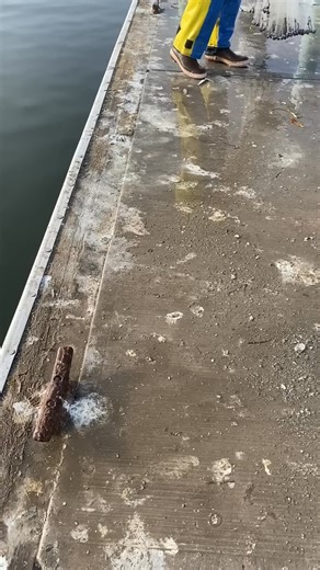 The Cast Net is an art form! #fishing #nettingfishing #netting #fishinggear #fishingboat #fishingtrip #fishingpole #fishinglure #fishingtackle #fishingline #fishingknots #castnet #fishingislife #fishingaddict #fishingislove #castnetfishing | William Johnson