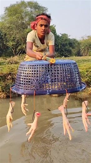 Unbelievable Chicken Legs Plastic Busket Trap Fishing #fish #fishing #videos