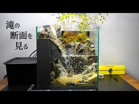 WATERFALL PALUDARIUM TUTORIAL : You Can See the Cross Section of the Fall | HowTo, StepByStep