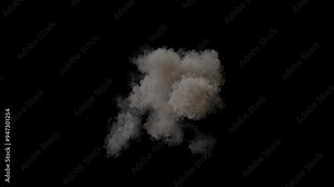 Explosion with fire and smoke, 24p with an alpha channel for transparency. Three speeds, including slow motion so you can adjust the speed.