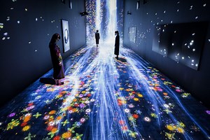 teamLab: Transcending Boundaries | teamLab