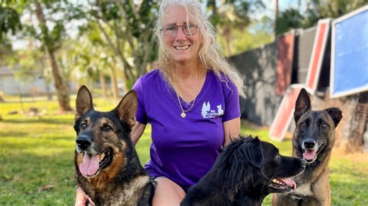 German shepherd rescue in Naples could use your help saving dogs