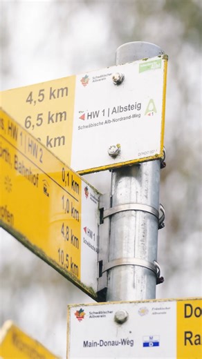 Schwäbische Alb Tourismus on Instagram: "Albsteig-Challenge – Das Best Of 🏃🏻‍♀️ Sechs Tage, vier Läuferinnen und Läufer, 360 Kilometer. Einmal quer über die Schwäbische Alb. Wind, Wetter, Schmerz, Euphorie, viel Durchhaltevermögen und unvergessliche Momente. 💚 Ein großes Danke an alle, die diese Challenge möglich gemacht haben: 💚 an @angelawegele, @mellibernadino, @kallerennt, @mountain_manu_100 und @runance für euren Mut und eure Ausdauer 💚 an alle Helferinnen und Helfer entlang der Streck