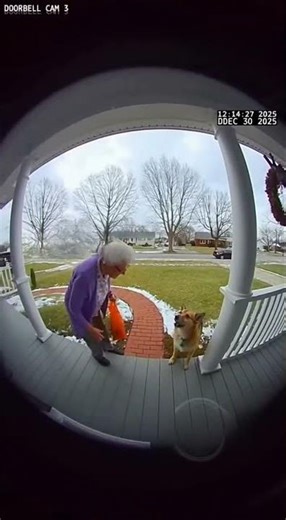 unexpected interaction between dog and grandma #funny #hilarious #dog