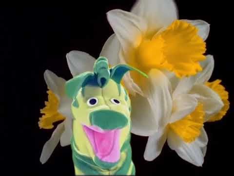 Baby Monet Discovering the Seasons Clip Zebra Seasons Conga Line