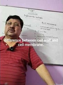 difference between cell and cell membrane.