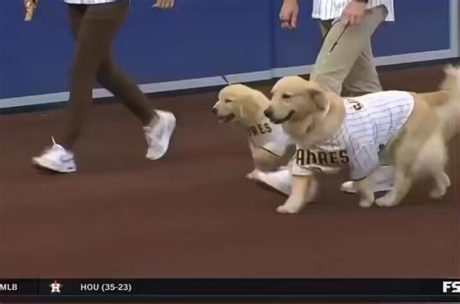 Cutest baseball fans ever 😍