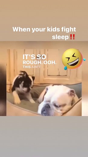 When your kids are fighting sleep‼️ #funnytiktok #animals #dog #viralvideo #viraltiktok #viral #viralvoice #voiceover #cutedogs #bulldog #dogmomlife #dogmomma ##dogtiktok #viral #funny