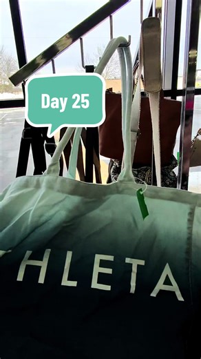 Thrift Shopping Journey: Day 25 Profit Update