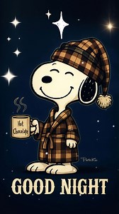 #goodnight #snoopy #memories #friends | We Love Snoopy