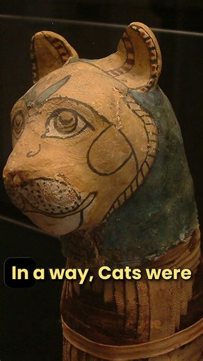 The Real Reason Cats Were Untouchable in Ancient Egypt 🐈🐱 #dailycatfacts #catshorts #catknowledge