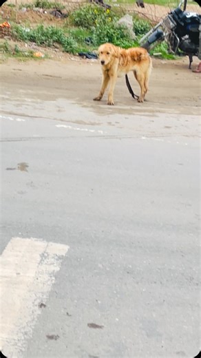 Guru teg bhadur furniture house (Smaon) on Instagram: "🙏❤️❤️🙏"