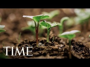 First Day Of Spring 2018: What To Know About The Equinox & Longer Hours Of Sunlight | TIME