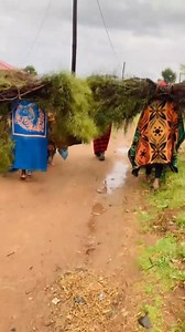 161K views · 2.5K reactions | Amakhwenkwe ase Sterkspruit  Nkanyezi | Eastern Cape is beautiful | Facebook