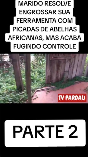 MARIDO RESOLVE ENGROSSAR SUA FERRAMENTA COM PICADAS DE ABELHAS AFRICANAS, MAS ACABA FUGINDO CONTROLE PARTE 2