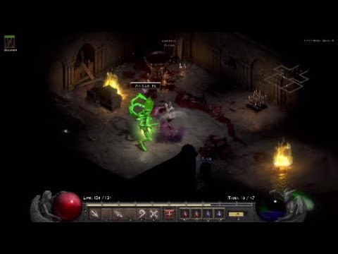 Diablo 2 Warlock LP