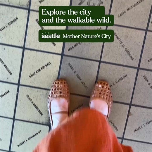 504K views | Oh the places you’ll wander. Seattle can bring you from bustling streets to natural serenity in minutes. | Visit Seattle | Facebook