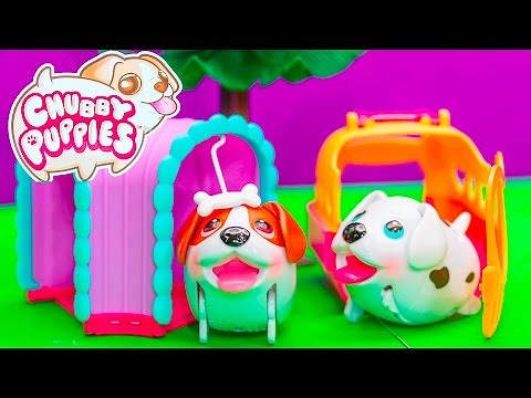 The Chubby Puppies Beagle Tunnel Playset Ultimate Dog Park Toy Review