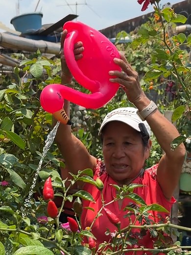 Beneficios del Abono con Posos de Café para Plantas