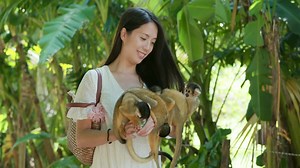 Woman and Squirrel Monkeys | Free Stock Video Footage