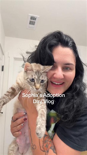 Sophia’s Adoption Day — foster to forever home