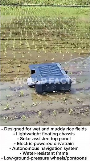 Autonomous Rice Field Robot – Smart Farming Innovation!