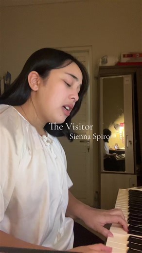 Cover of 'The Visitor' by Sienna Spiro